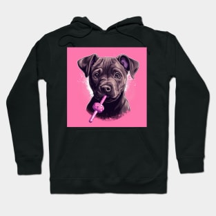 Staffy Candy Hoodie